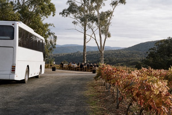 Yarra Valley Wine & Winery Tour from Melbourne - All Inclusive!