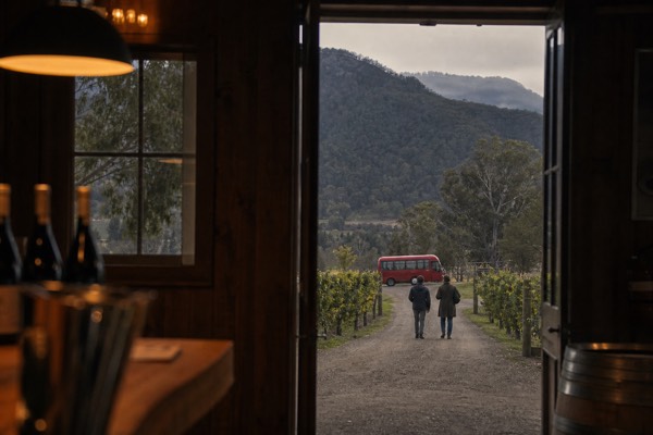 From Melbourne: Hop On Hop Off Yarra Valley - RED Route