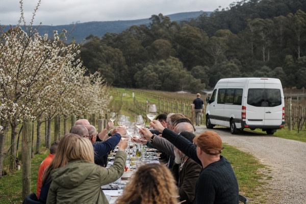 Yarra Valley Wine Tour w Exclusive Gin, Cider & Chocolate Tasting