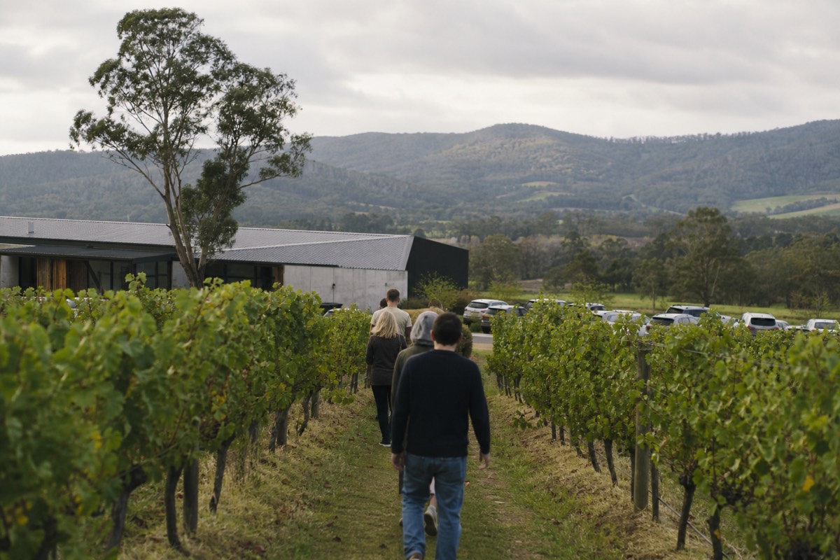 Small group walking between vine rows toward a Yarra Valley cellar door