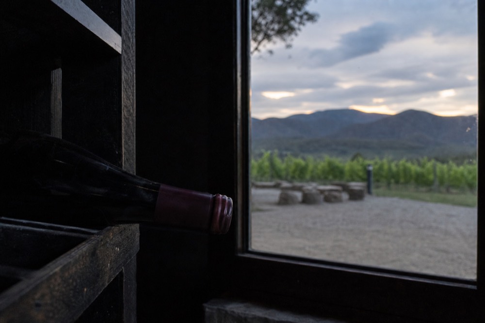 Single bottle of pinot noir lying on its side in a cool dark rack with vineyard light through a nearby window