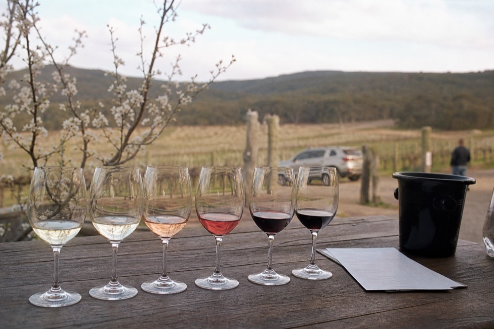 Row of six tasting glasses lined up on a timber counter with a spit bucket and a paper flight list beside them