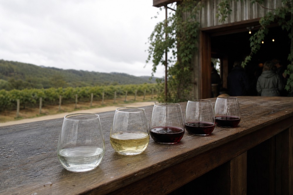 A row of small tasting glasses holding gin, cider and red wine lined up on a weathered timber bar, blurred cellar door interior behind