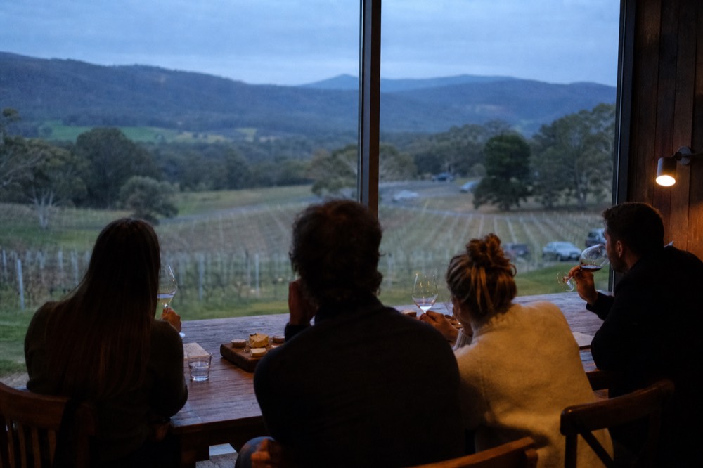 A seated tasting at a long table by a tall window, four guests with wine glasses and a cheese board, vineyard rows visible outside