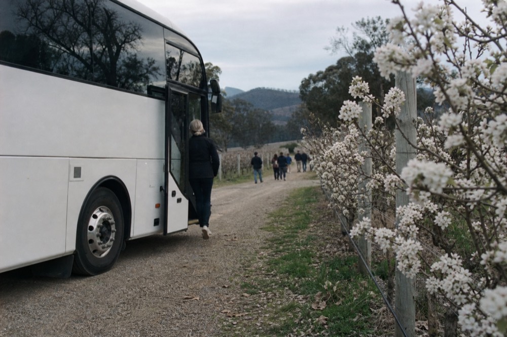Passenger stepping down from a bus onto a gravel driveway between vine rows, bus door open and hills in the distance