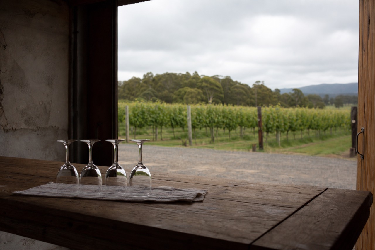 Empty tasting bench at a cellar door with four rinsed glasses upturned on a cloth and vine rows visible through an open door