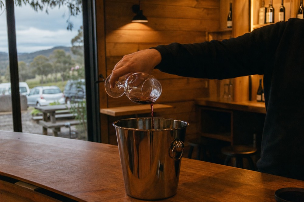 Person pouring the remains of a red wine glass into a stainless spit bucket on a cellar door counter