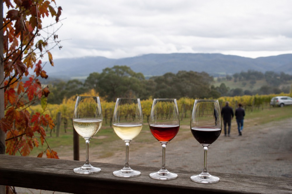 Four wine glasses in a row on a timber bar showing a sparkling wine, a pale chardonnay, a light red and a deeper red
