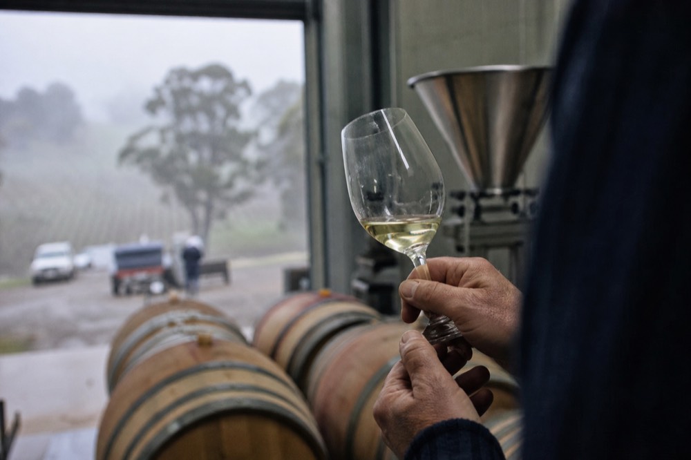 Close view of hands holding a glass of pale chardonnay against a blurred backdrop of barrels in a small working winery, no labels or text visible