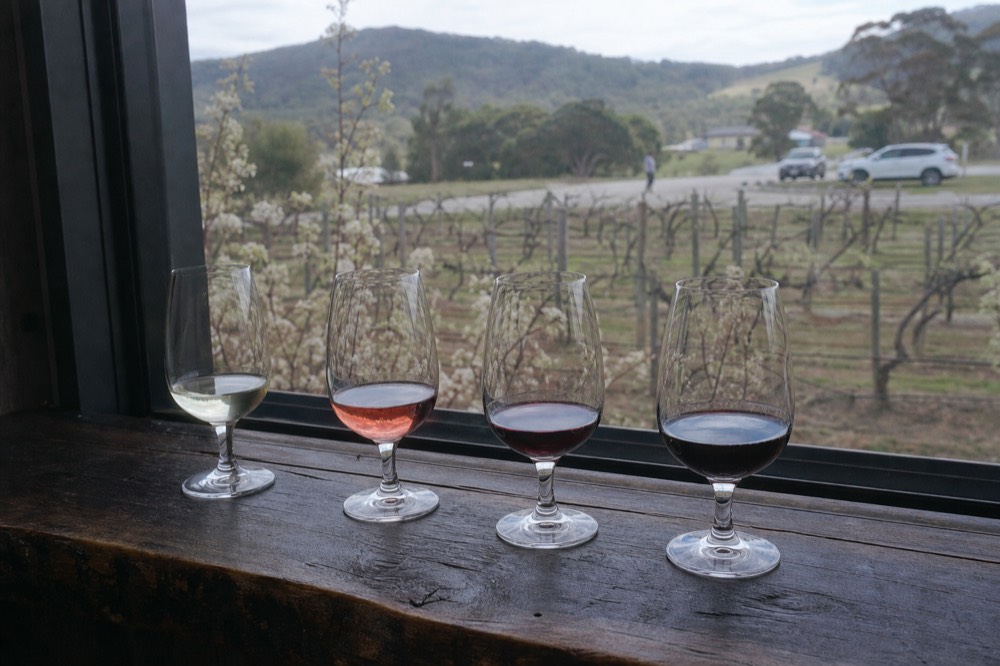A tasting flight of four glasses lined up on a weathered timber bar with a vineyard visible through the window behind
