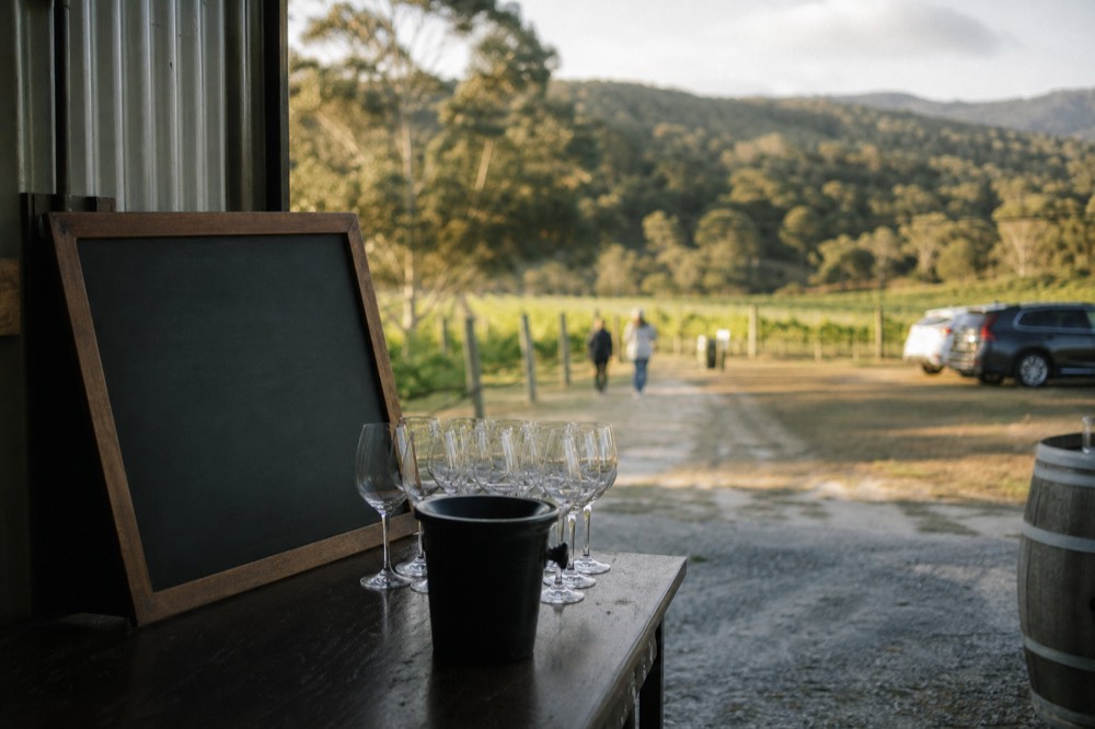 A handwritten chalkboard tasting menu on a cellar door counter next to a row of empty glasses and a spit bucket