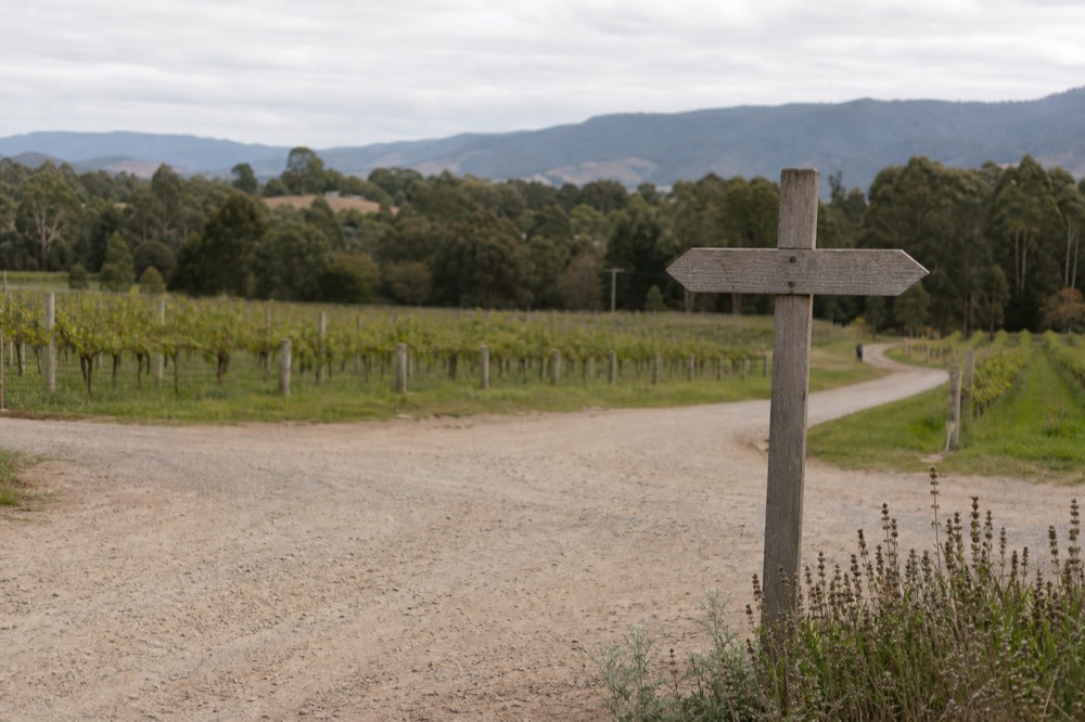 Country road sign at a rural crossroads pointing in two directions with vineyards on both sides