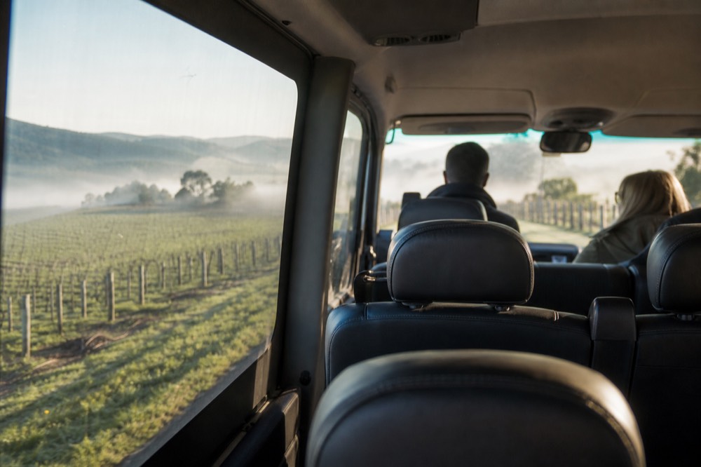 Interior of a small luxury tour van with six leather seats, sunlight through tinted windows, vineyard rows visible outside
