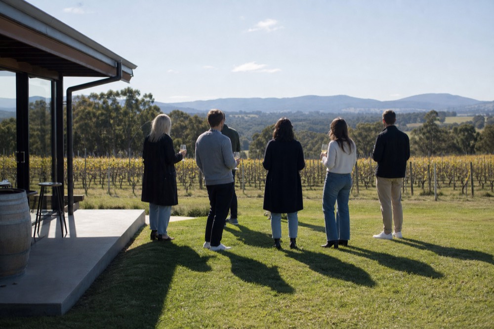 Six friends standing with glasses on a lawn outside a modern cellar door, vineyard rows behind them, relaxed afternoon light, faces turned away