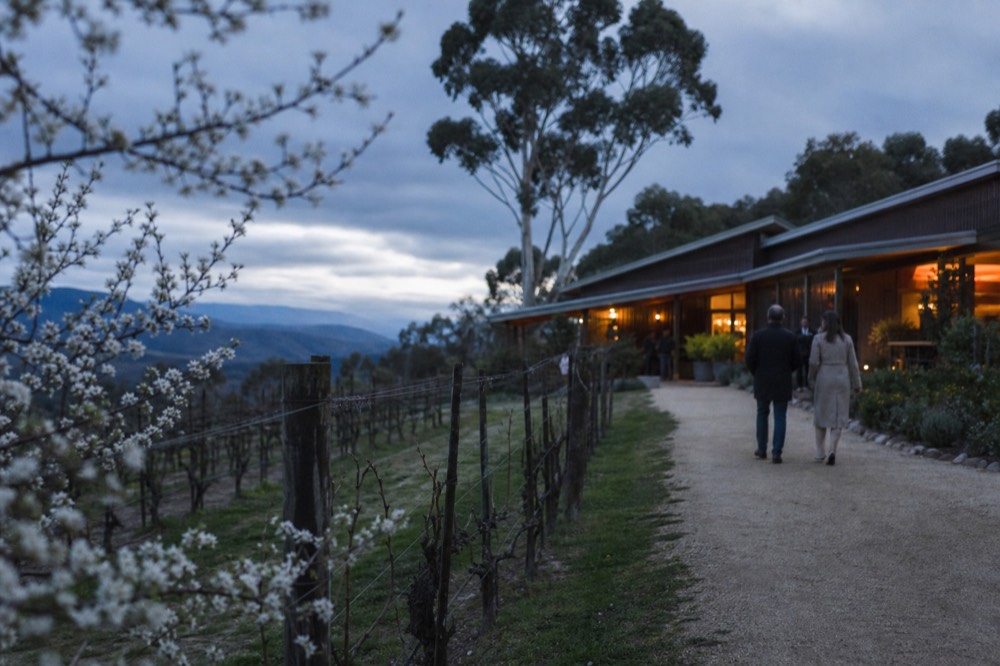 A vineyard resort terrace at dusk with warm interior lighting, two guests walking toward the entrance, rows of vines fading into blue evening light