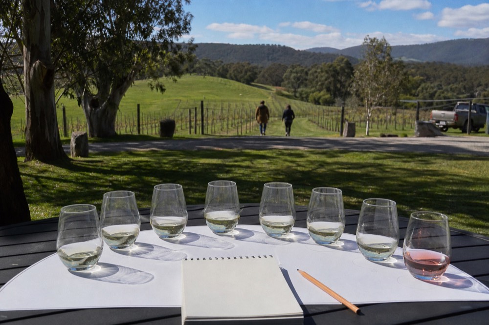 Eight numbered tasting glasses arranged in a curve on a white paper placemat with a notepad and pencil, overhead view