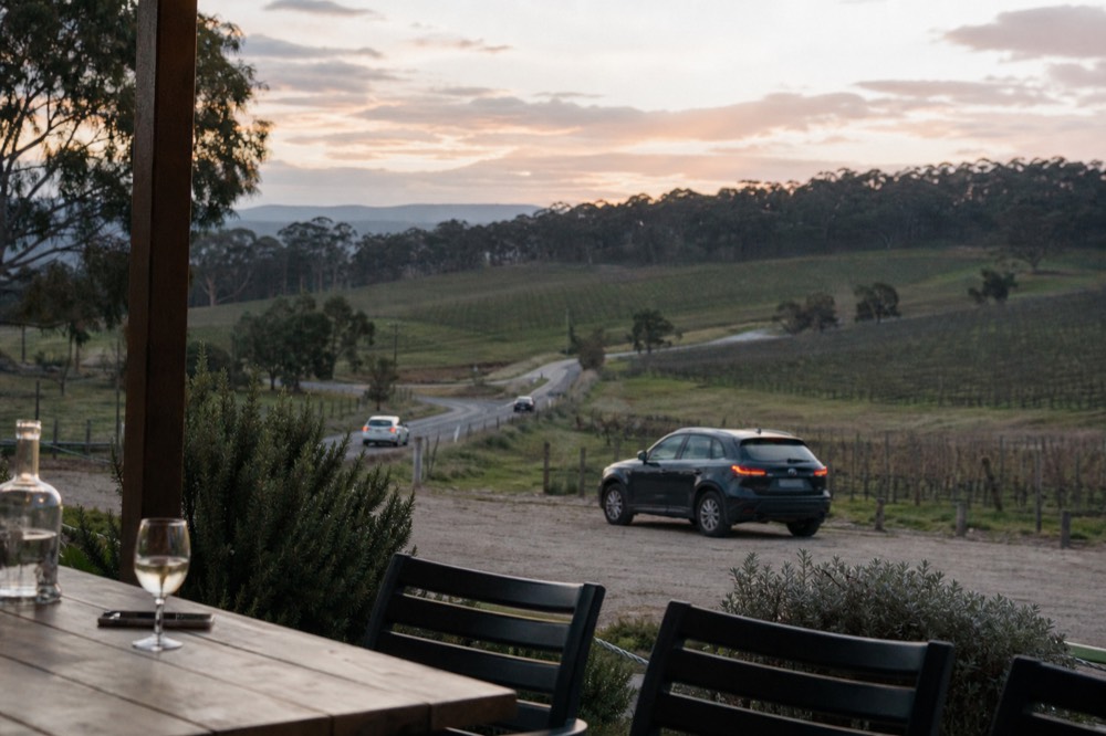 A two-lane country road curving between paddocks and vineyard blocks with a distant ridge of gum trees on the horizon
