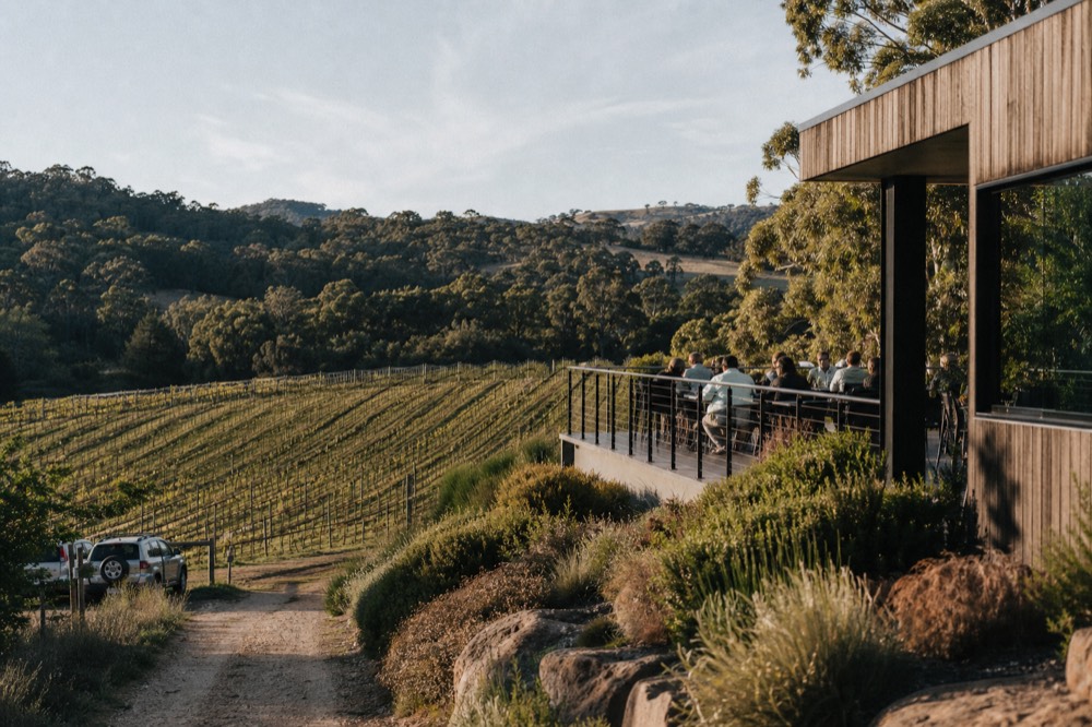 A modern cellar door building of timber and glass set into a hillside with visitors seated at outdoor tables overlooking vines