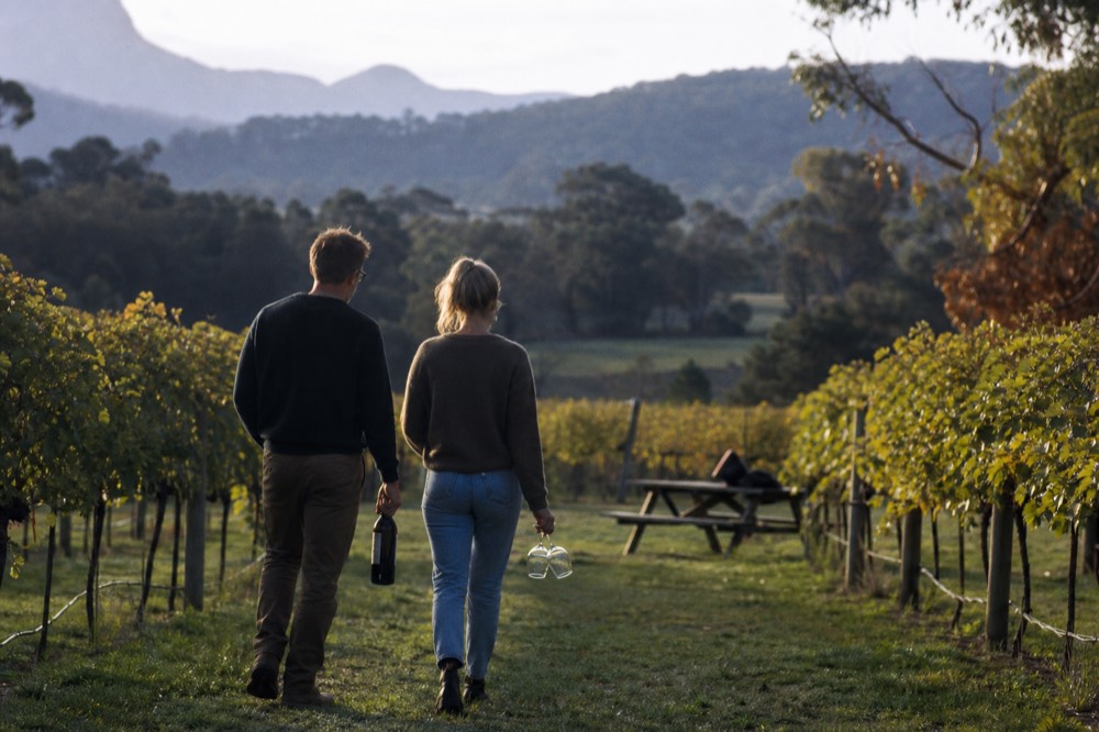 A couple walking between vine rows in late afternoon light carrying a wine bottle and two glasses toward a picnic table