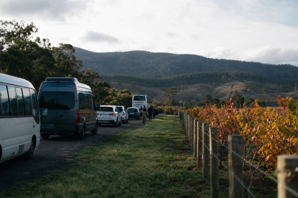 Row of tour vehicles of different sizes parked along a country road beside a vineyard fence in morning light