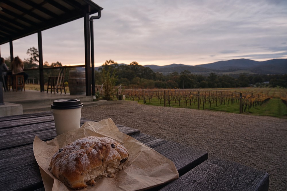 Paper-wrapped bakery lunch and a takeaway coffee on a park bench with vineyard rows in the background